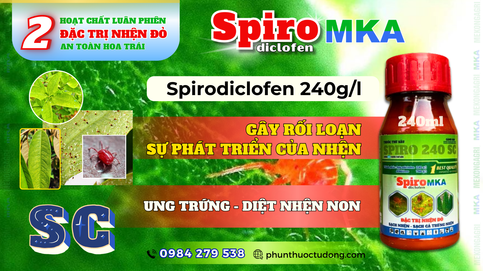 Etoxazole và spirodiclofen luân phiên quản lý nhện đỏ